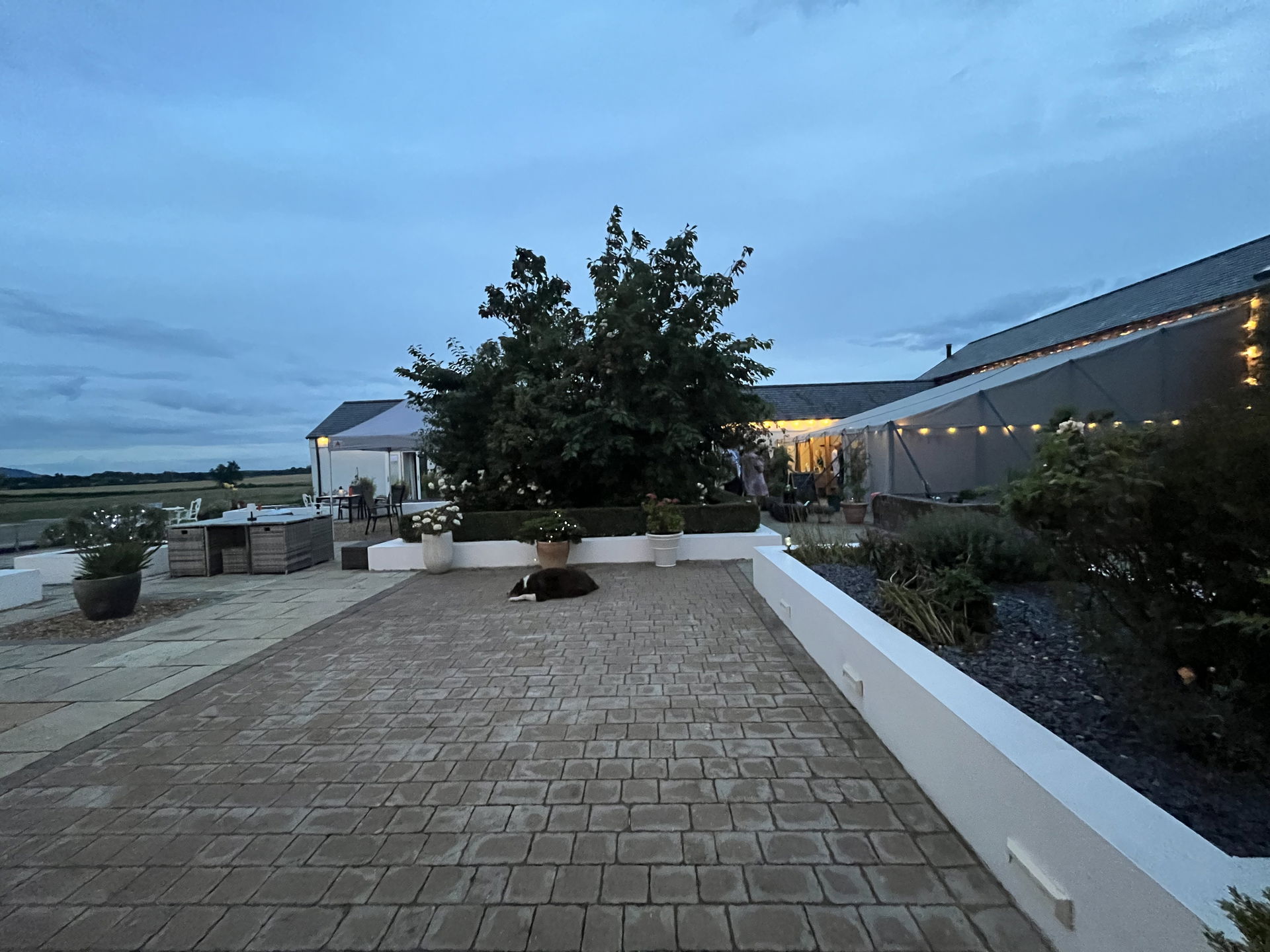 Jessica James Solo Singer With Tracks Review Private Party North Yorkshire