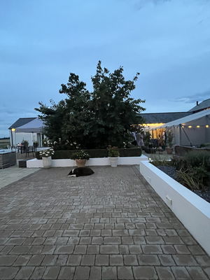 Event Jessica James Solo Singer With Tracks Lancashire