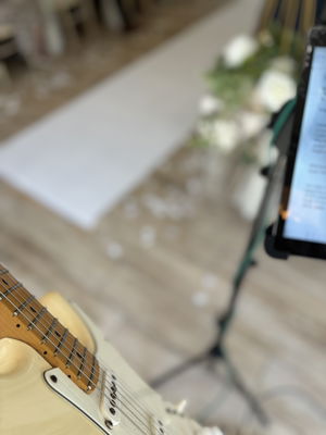 Event Dylan Dale Singer Guitarist Greater Manchester