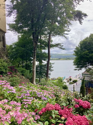 Event Ixta Strings String Quartet West Midlands