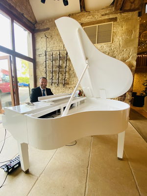 Event Dorel Oprea Pianist Hampshire