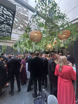 Event Alfie Singer Guitarist East Sussex