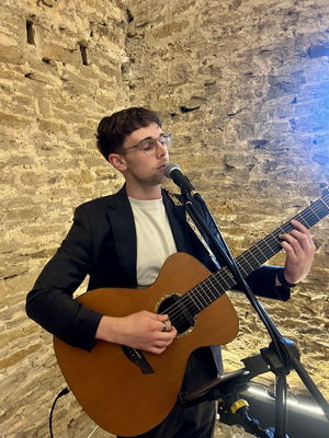 Event Alfie Singer Guitarist East Sussex