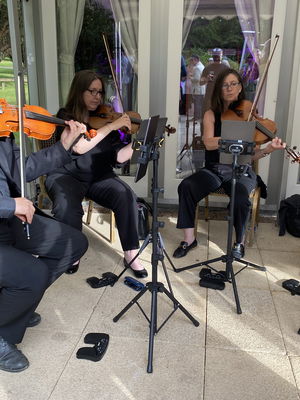 Event Worcester String Quartet String Quartet Worcestershire
