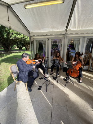 Event Worcester String Quartet String Quartet Worcestershire