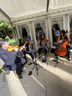 Event Worcester String Quartet String Quartet Worcestershire