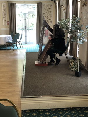 Event FW Harp (Harpist) Harpist West Yorkshire