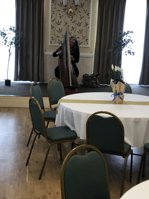 Event FW Harp (Harpist) Harpist West Yorkshire