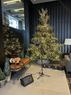 Event Bethany Amelia Singer Guitarist Essex