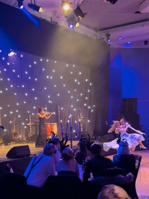 Event The London Violinist Electric Violinist London