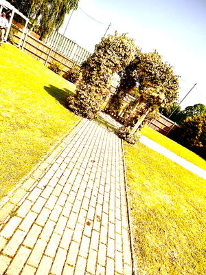 Event Gary Caribbean Steel Drums Steel Band Buckinghamshire