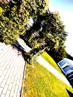 Event Gary Caribbean Steel Drums Steel Band Buckinghamshire