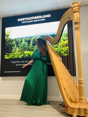 Event Rebecca The Harpist Harpist Greater Manchester