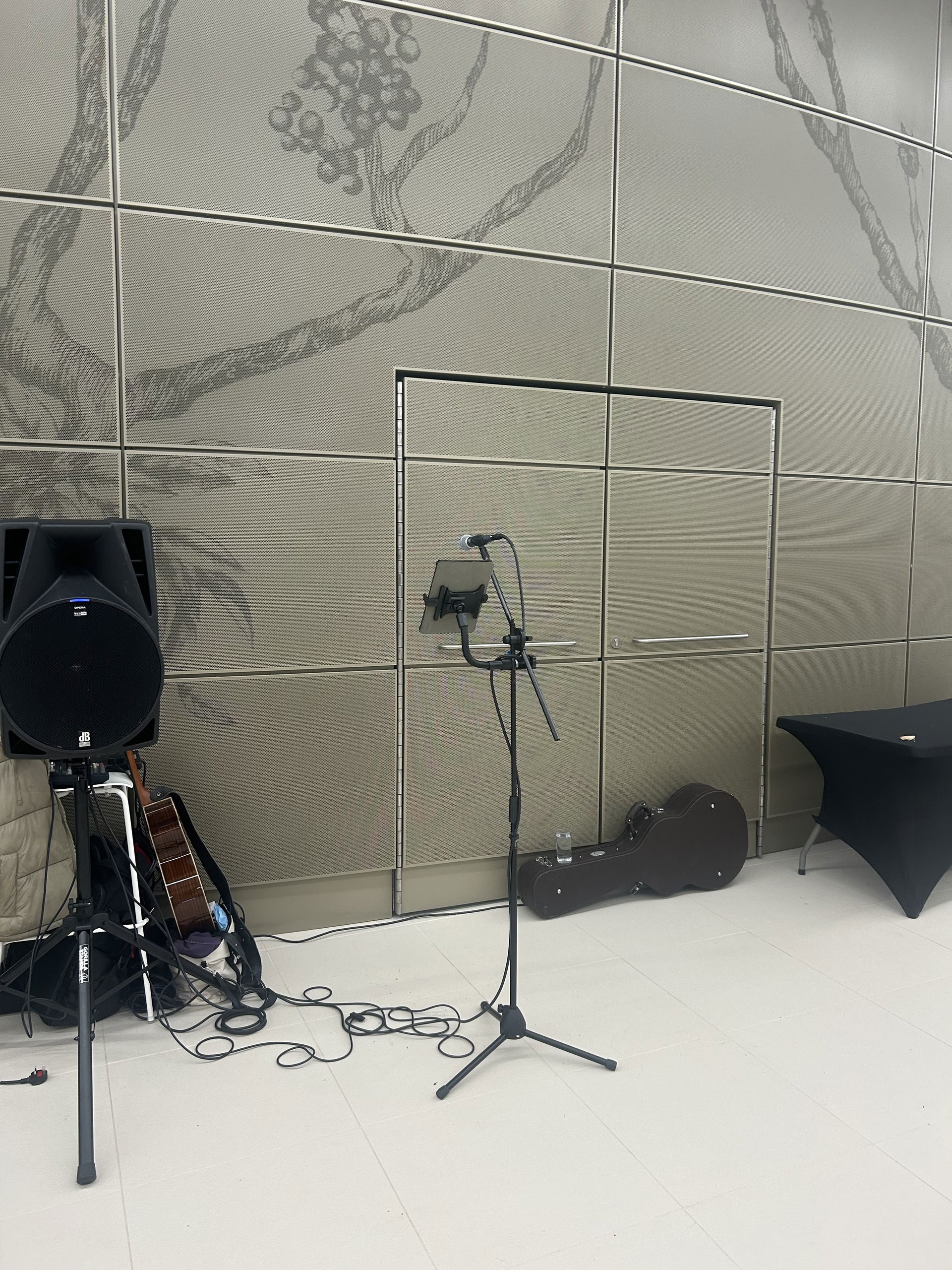 Bethany Amelia Singer Guitarist Review Corporate Event Cambridgeshire