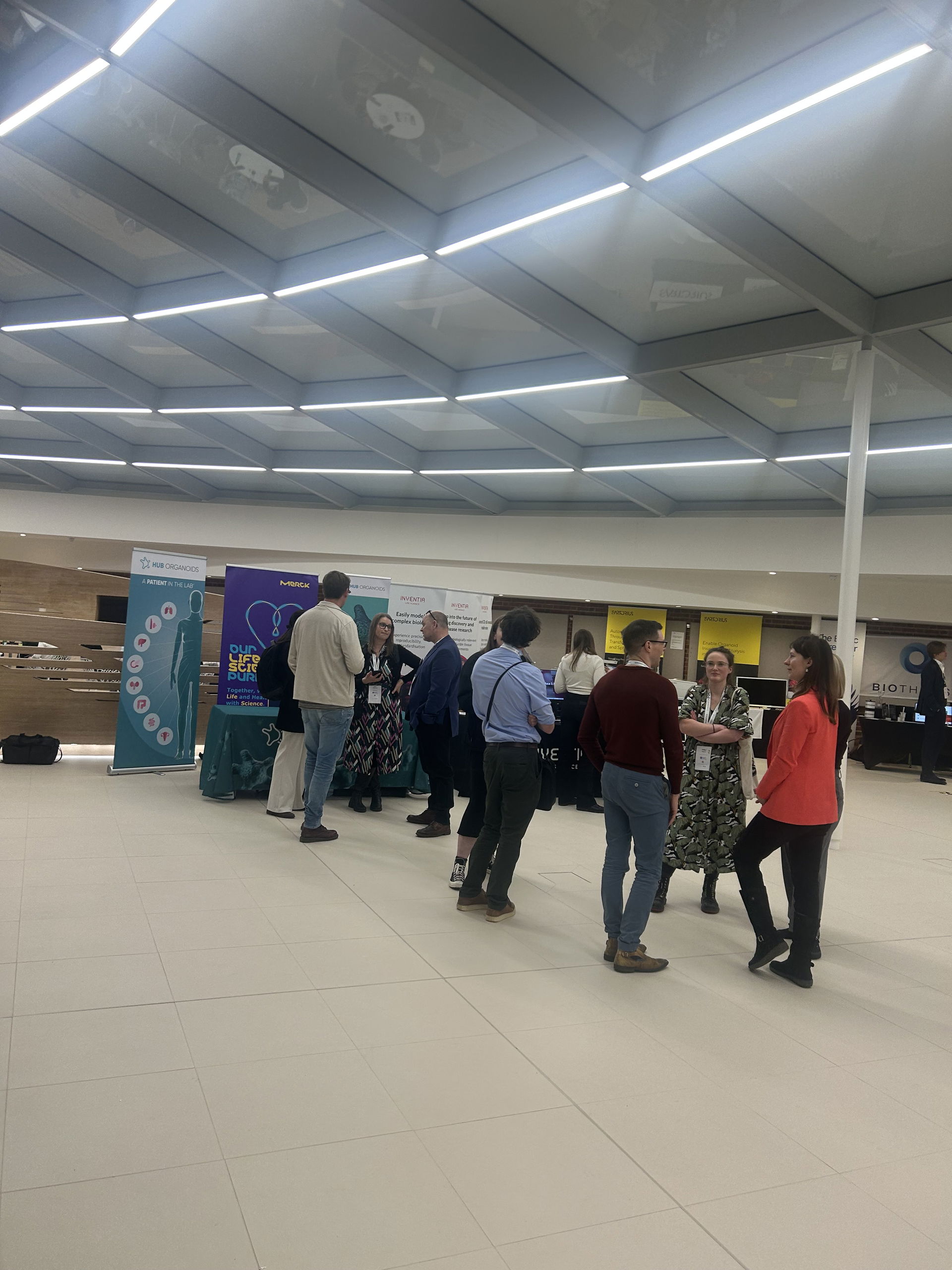 Bethany Amelia Singer Guitarist Review Corporate Event Cambridgeshire