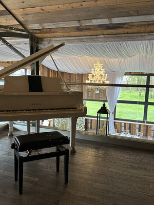 Event Finn McCool Pianist North Yorkshire