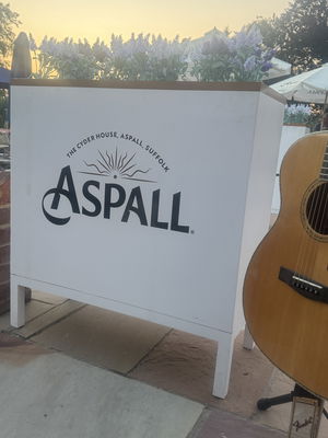 Event Tim Matthews Singer Guitarist Essex