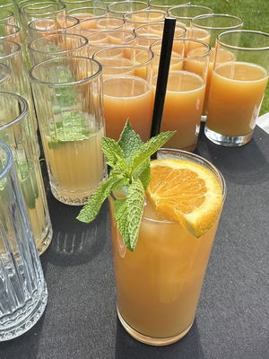 Event Mario Bartenders Cocktail Bars and Bartenders Bracknell, Berkshire