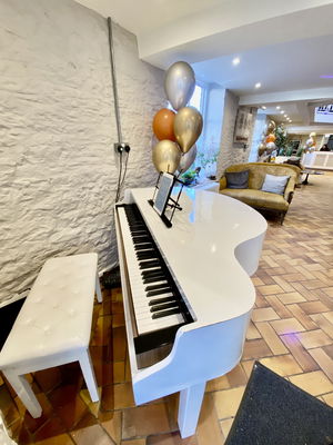 Event Dorel Oprea Pianist Hampshire