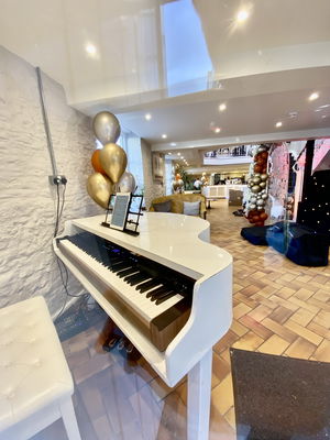 Event Dorel Oprea Pianist Hampshire