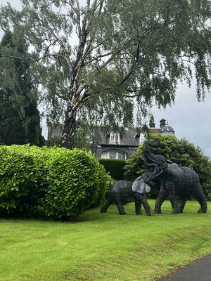 Event 5 Star Fun Casino Casino Staffordshire