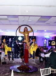 Event The Power Aerialist Aerialist Wiltshire