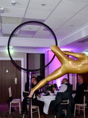 Event The Power Aerialist Aerialist Wiltshire