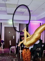 Event The Power Aerialist Aerialist Wiltshire