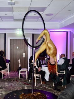 Event The Power Aerialist Aerialist Wiltshire