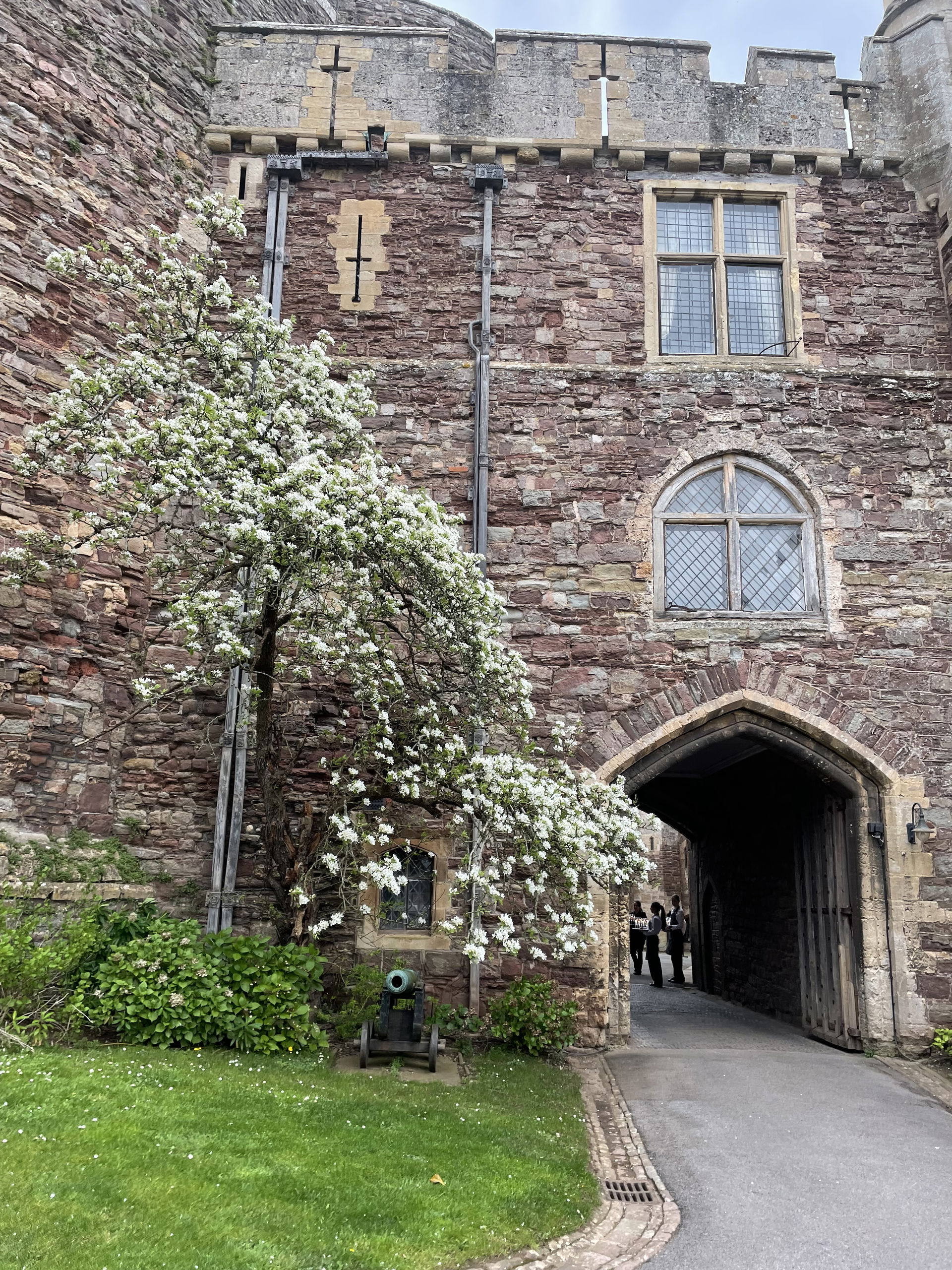 Prosecco Quartet String Quartet Review Wedding Gloucestershire