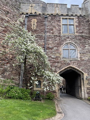 Event Prosecco Quartet String Quartet Malvern, Worcestershire