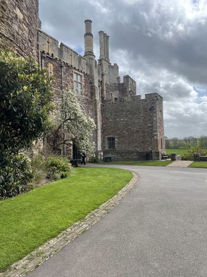 Event Prosecco Quartet String Quartet Malvern, Worcestershire