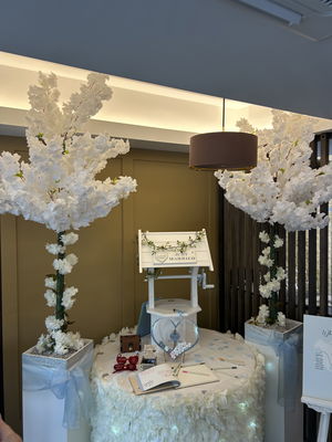 Event Bethany Amelia Singer-Guitarist Essex