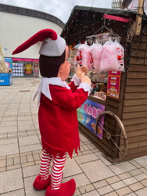 Event The Christmas Elf Walkabout Character Norfolk