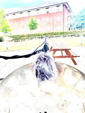 Event Gary Caribbean Steel Drums Steel Band Buckinghamshire