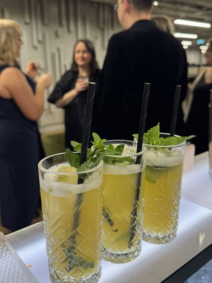 Event Mario Bartenders Cocktail Bars and Bartenders Bracknell, Berkshire