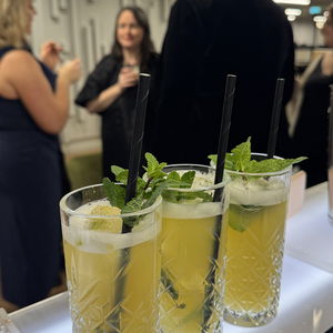 Event Mario Bartenders Cocktail Bars and Bartenders Bracknell, Berkshire