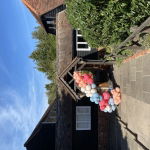 Dani and Hall Solo Artist, Duo or Trio Review Private Party Essex