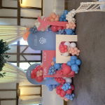 Dani and Hall Solo Artist, Duo or Trio Review Private Party Essex