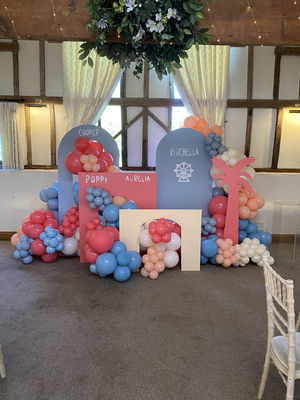 Event Dani and Hall Acoustic Duo West Sussex