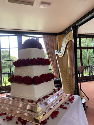 Event T L Harp Harpist Edinburgh