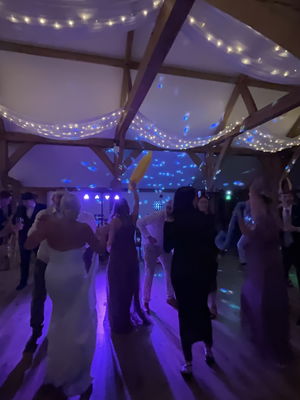 Event DJ Lady Lizzo Wedding and Events DJ West Midlands