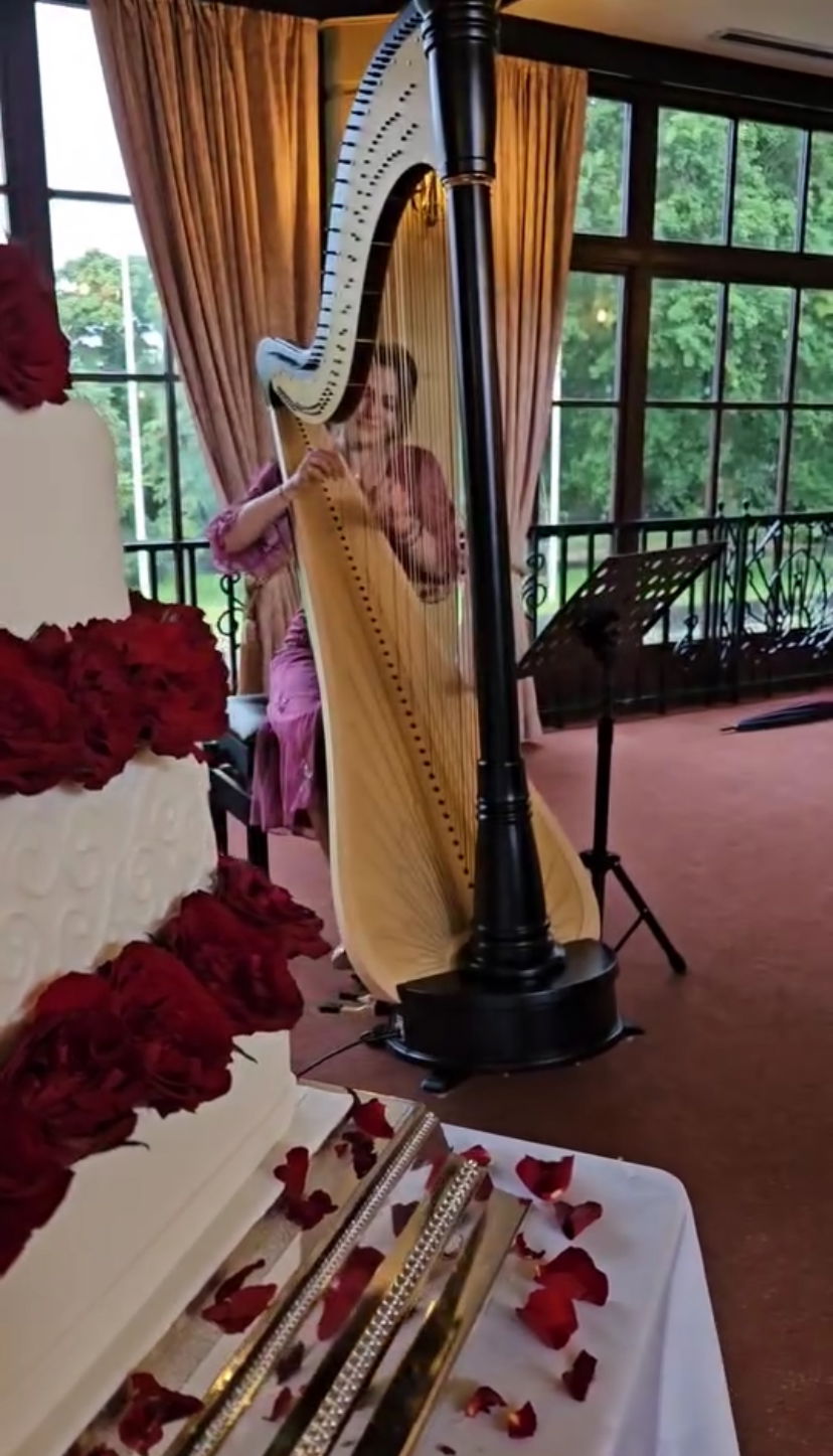 T L Harp Harpist Review Wedding Fife