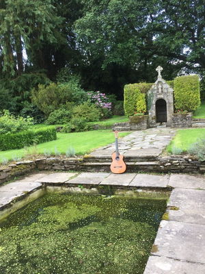 Event Dennis OKelly Classical Guitarist Cornwall