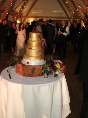 Event The Hot Shots Function Band Essex