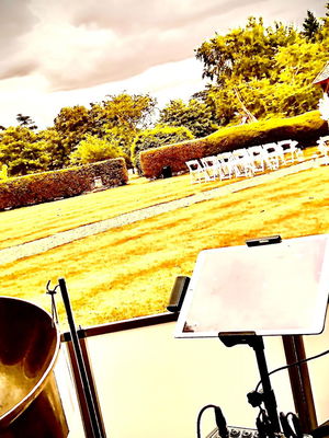 Event Gary Caribbean Steel Drums Steel Band Buckinghamshire