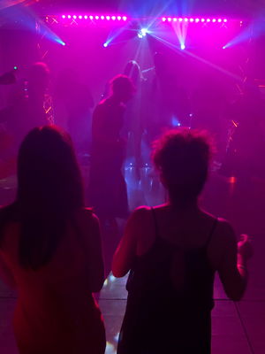 Event Mark Allen Wedding DJ Downham Market, Norfolk