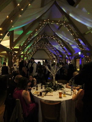 Event The Hot Shots Function Band Essex