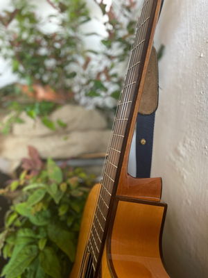 Event Ryan Gene Classical Guitarist Lancashire