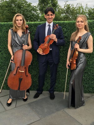 Event Garden String Quartet String Quartet London